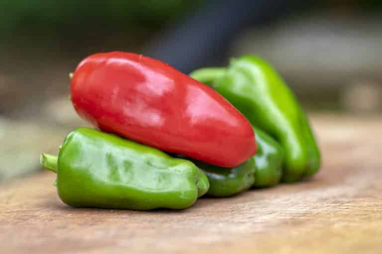 What Are Scoville Heat Units