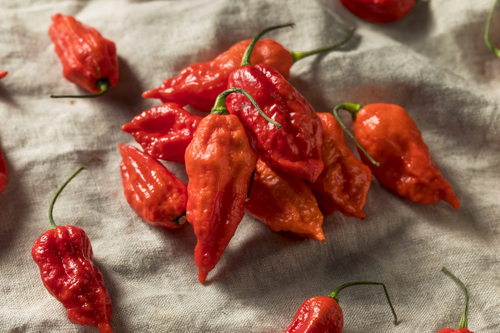 Scoville Scale Chart Ghost Pepper
