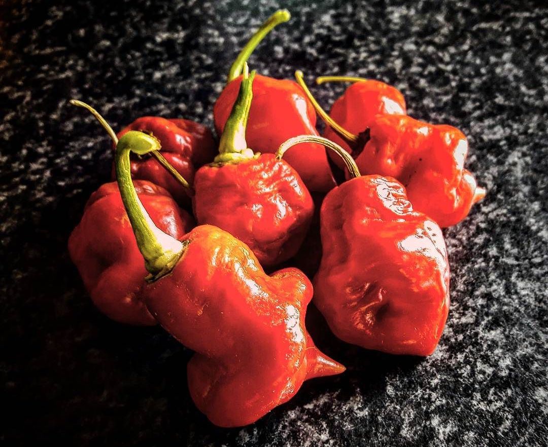 Hottest Peppers In The World 21 Eating On The Edge Pepperscale