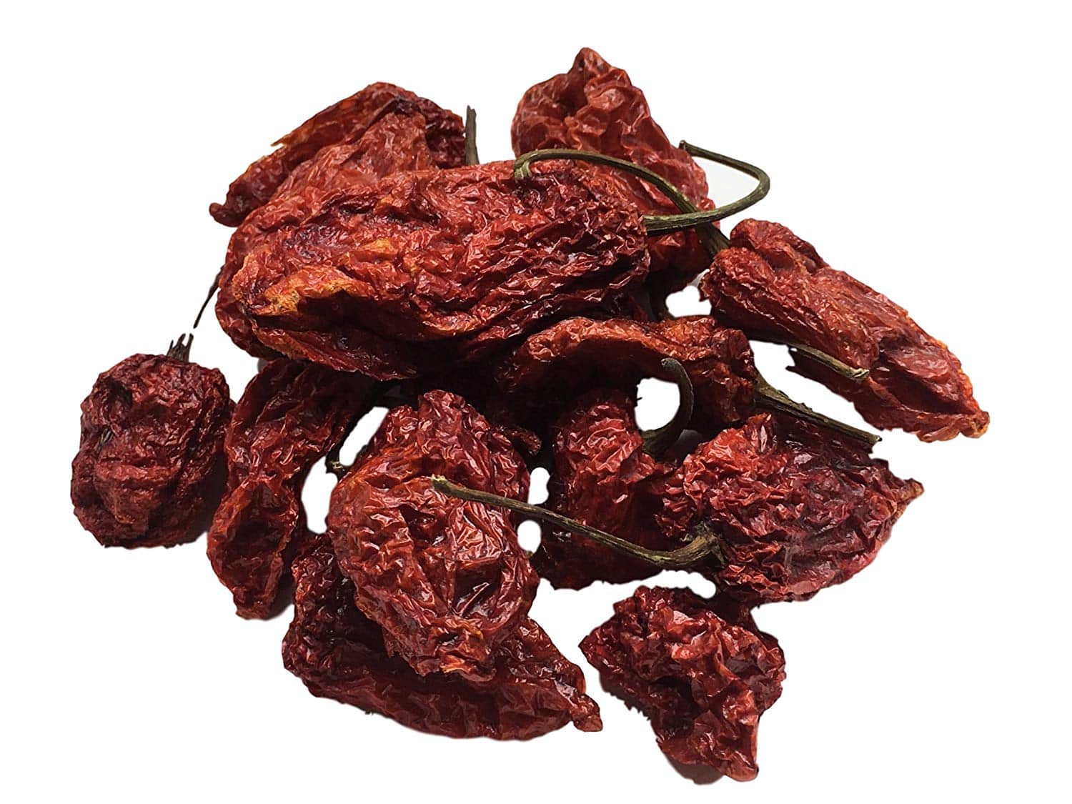 Chocolat bhutlah marron foncé Hot Chili Pepper Seeds 10 Pcs World's Hottest!