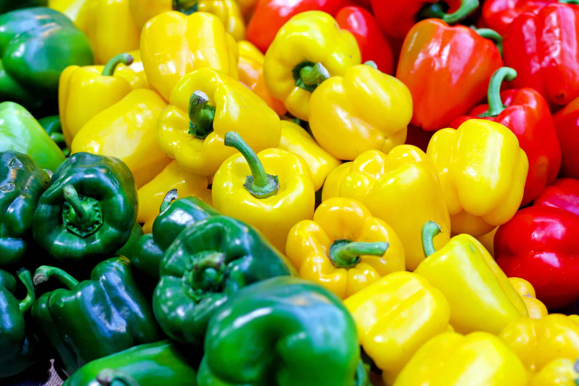 Six Bell Pepper  Facts That You Should Know PepperScale