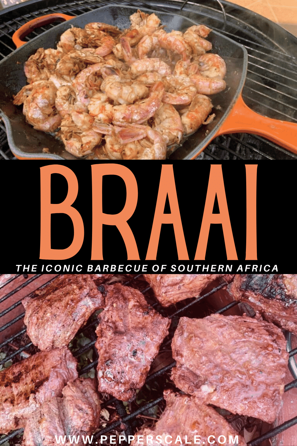 braai-the-iconic-barbecue-of-southern-africa-pepperscale