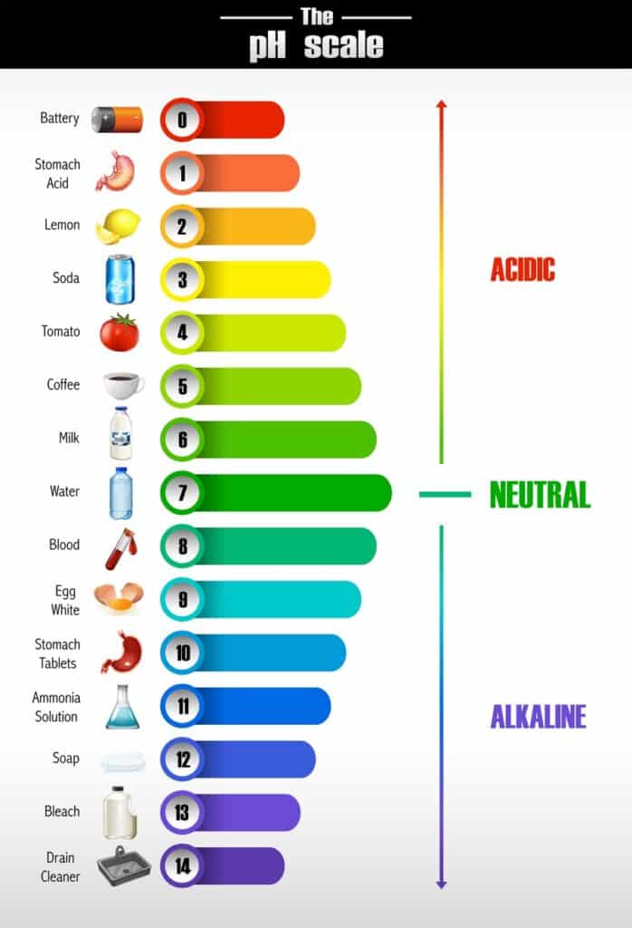The pH scale with examples