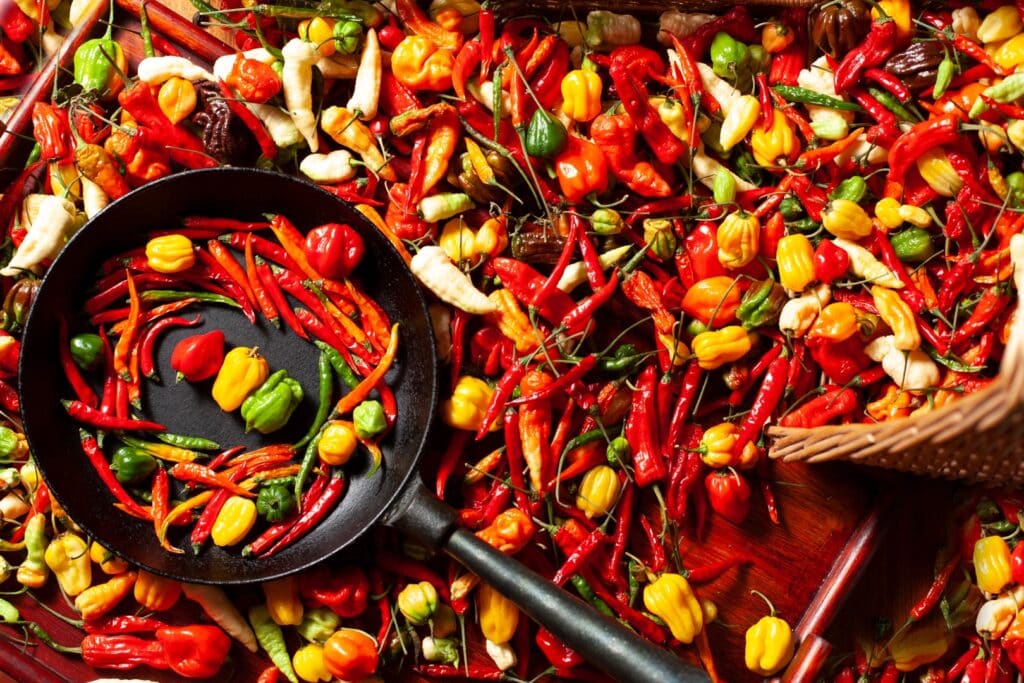 chili pepper history - where do peppers come from